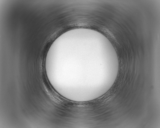 X0000075860542200609291550