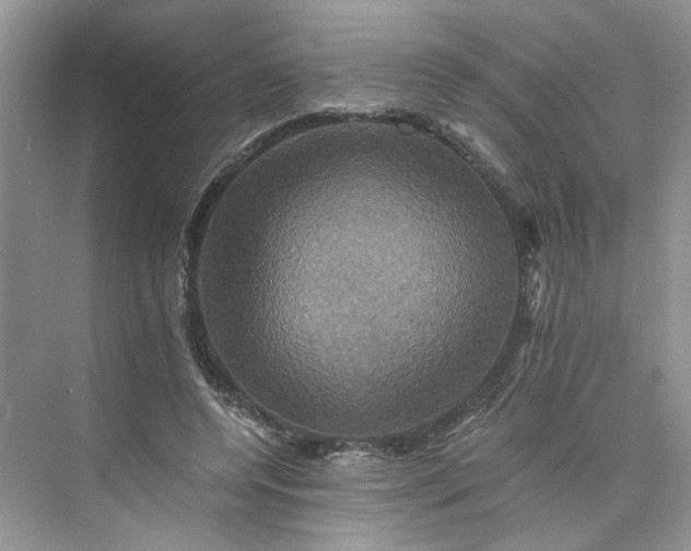 X0000075860544200609291550