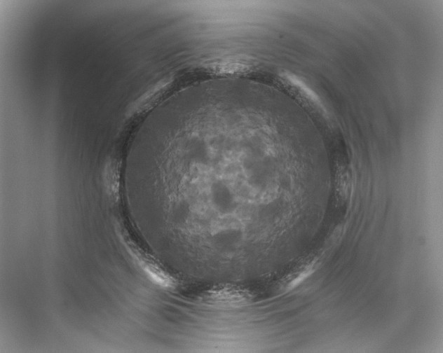 X0000075860545200609291550