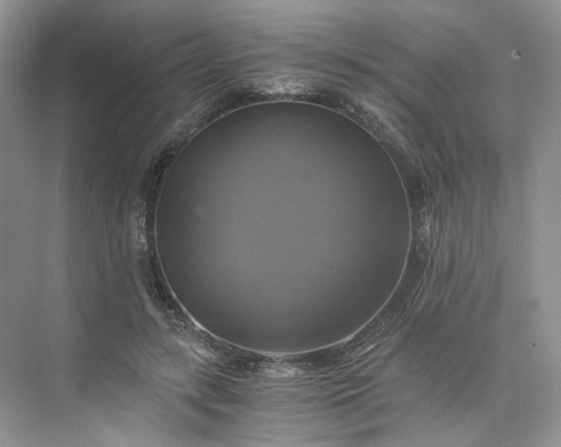 X0000075860547200609291550