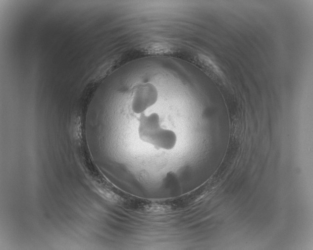 X0000075860549200609291550