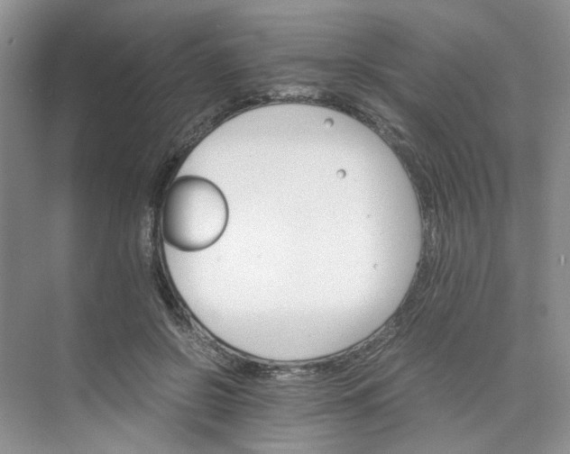 X0000075860550200609291550