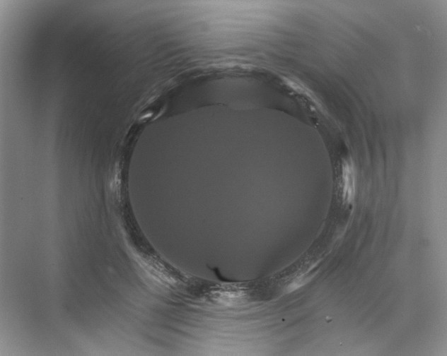 X0000075860552200609291551