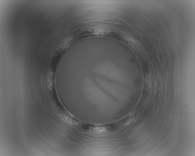 X0000075860554200609291551