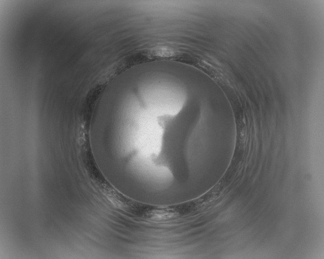 X0000075860555200609291551