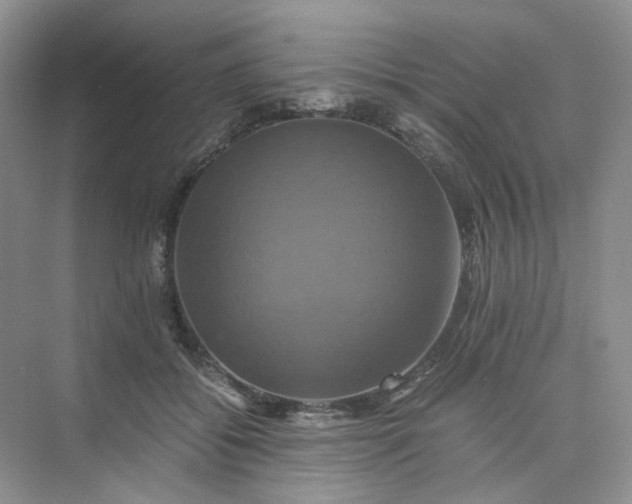 X0000075860556200609291551