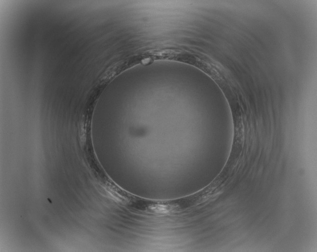 X0000075860558200609291551