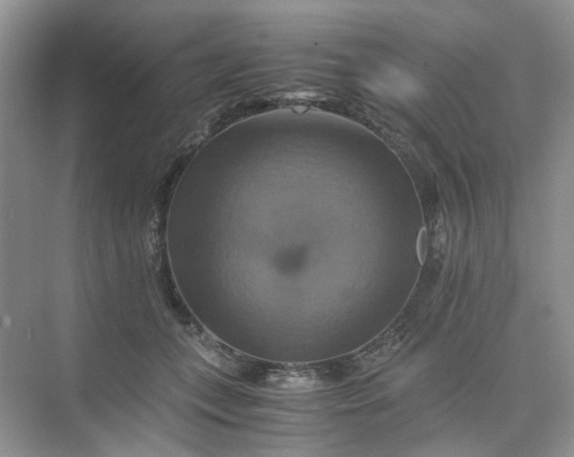 X0000075860559200609291551