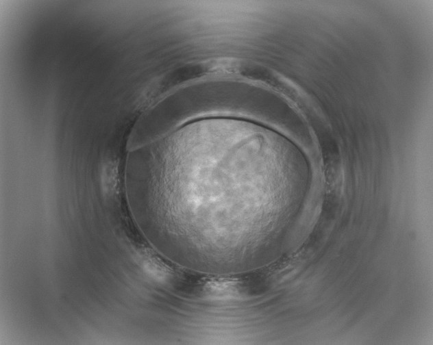 X0000075860560200609291551