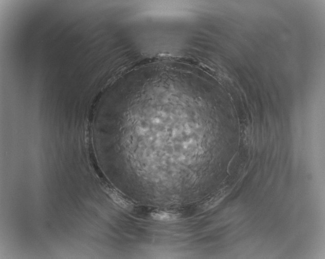 X0000075860561200609291551