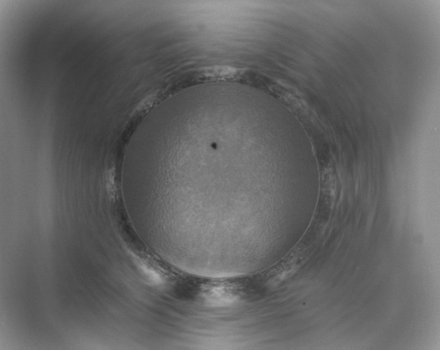 X0000075860564200609291551