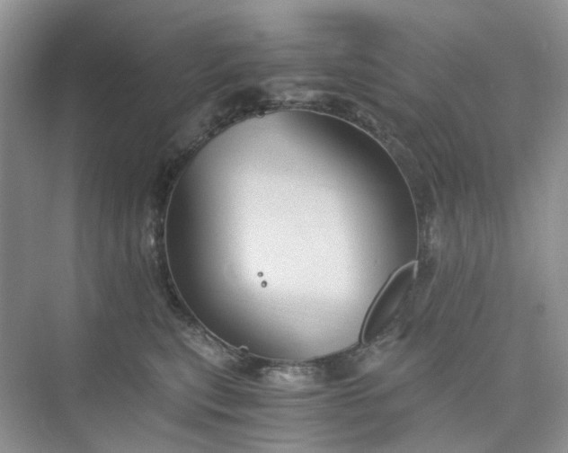 X0000075860567200609291551