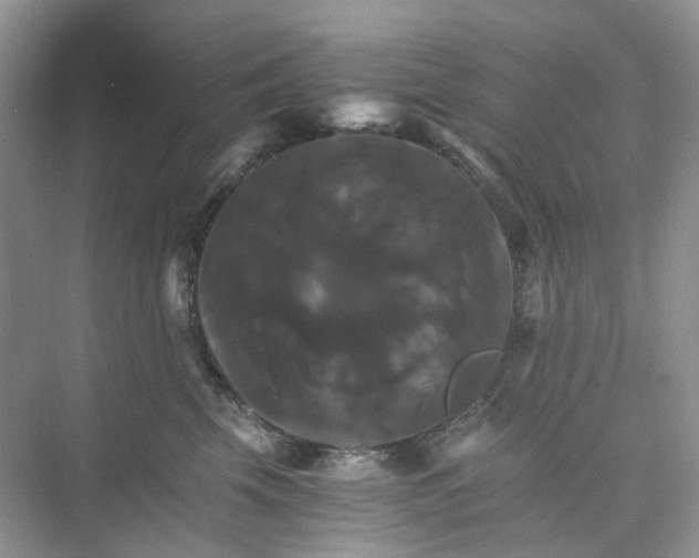 X0000075860569200609291551