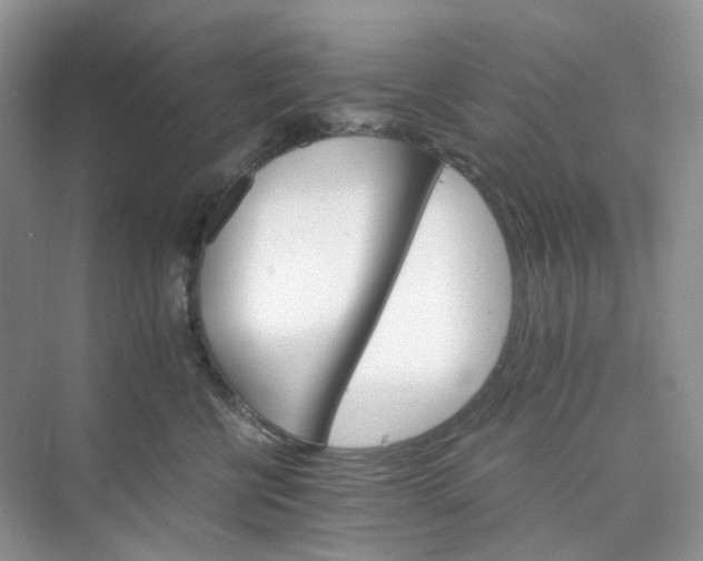 X0000075860570200609291551