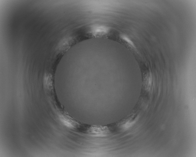 X0000075860571200609291551