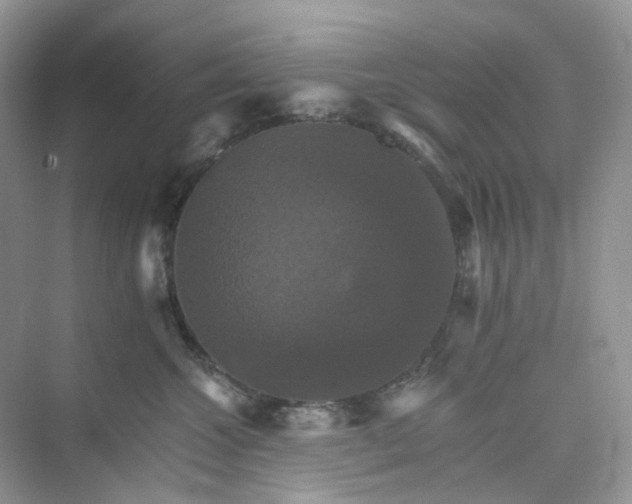 X0000075860572200609291551