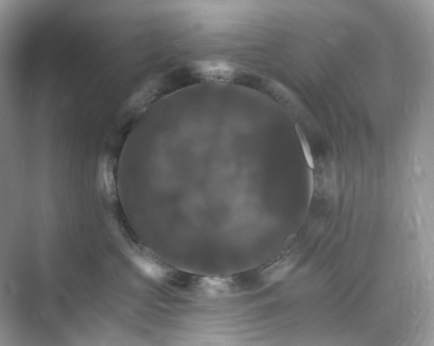 X0000075860573200609291551