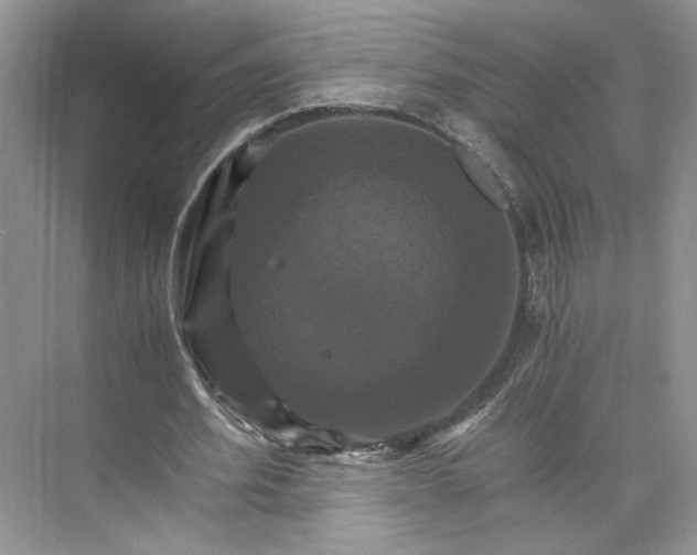 X0000075860580200609291550