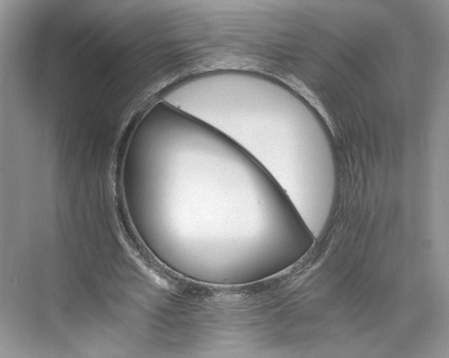 X0000075860581200609291550