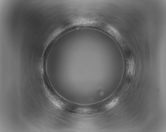 X0000075860582200609291550