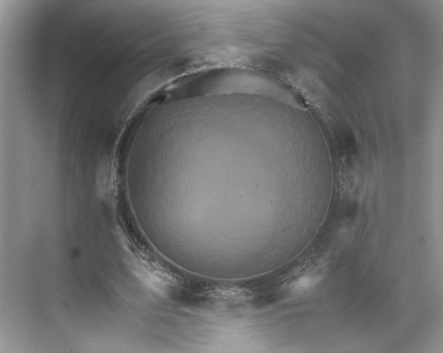 X0000075860583200609291550