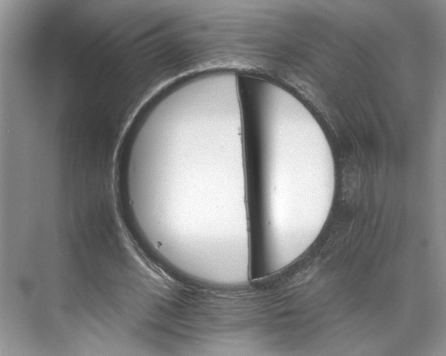 X0000075860584200609291550