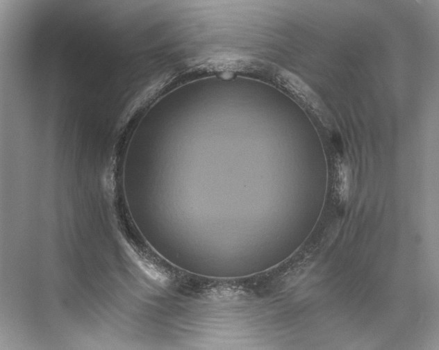 X0000075860586200609291550