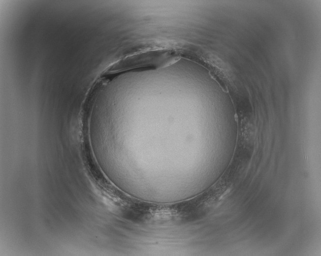 X0000075860587200609291550