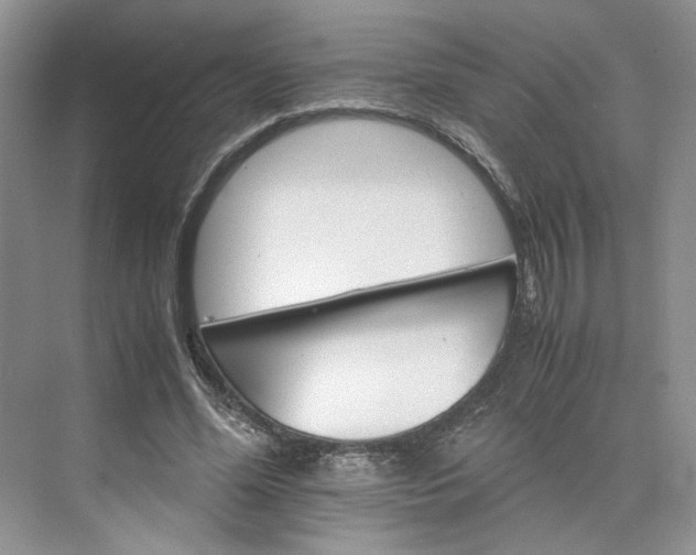 X0000075860588200609291550