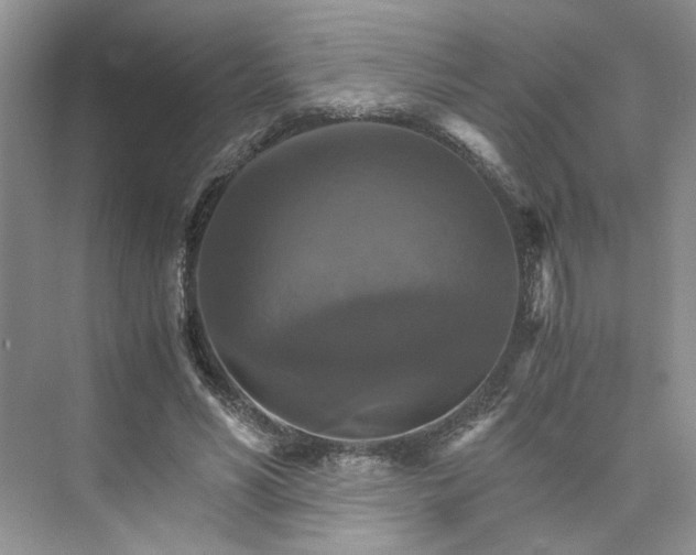 X0000075860590200609291550