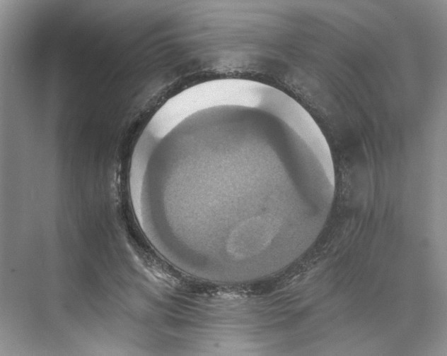 X0000075860592200609291550