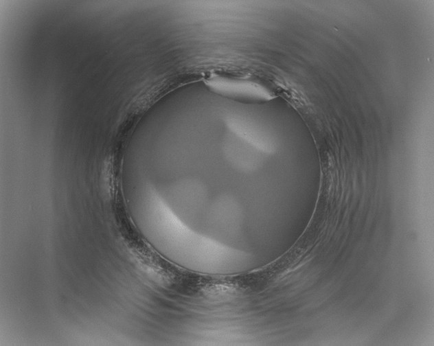 X0000075860594200609291550