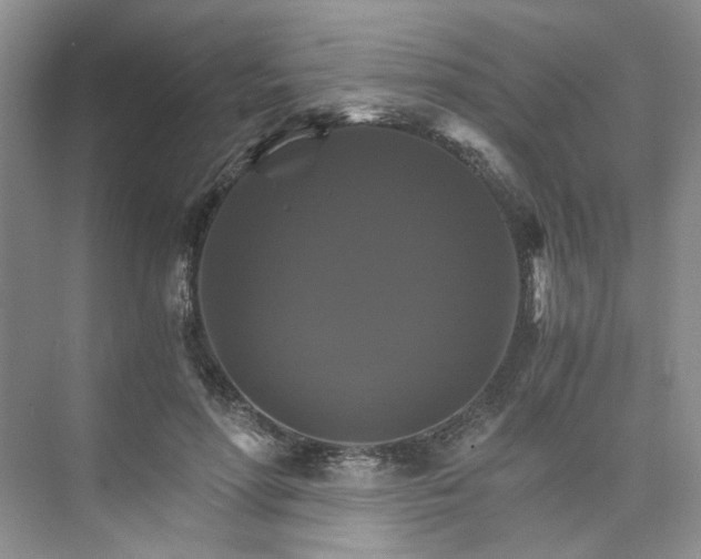 X0000075860598200609291550