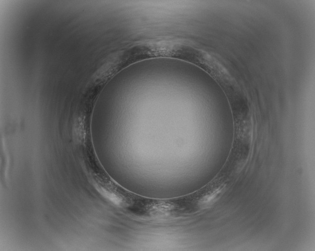 X0000075860599200609291550