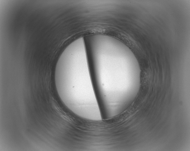 X0000075860600200609291550