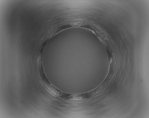 X0000075860601200609291550