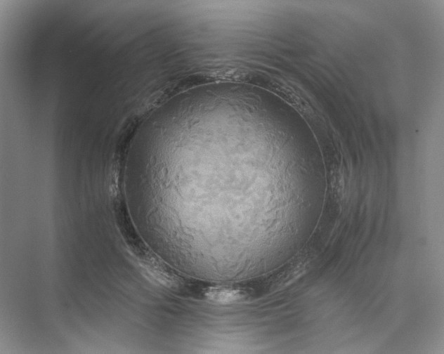 X0000075860602200609291550