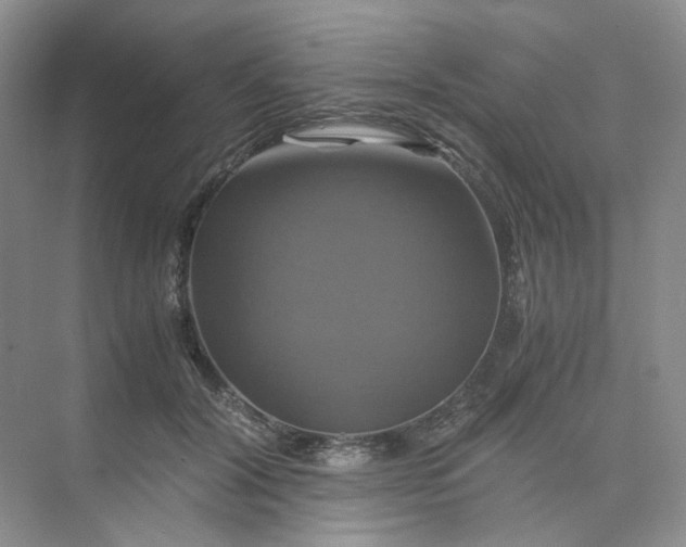 X0000075860604200609291550