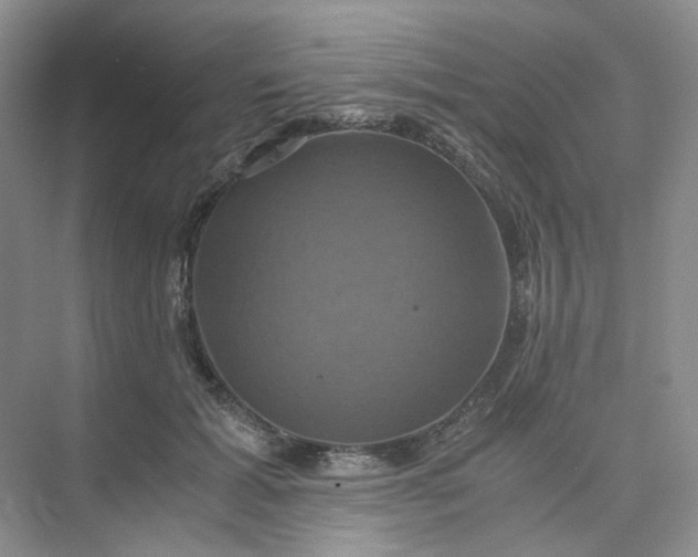 X0000075860605200609291550