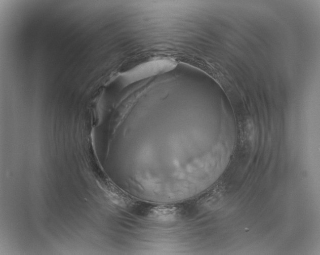 X0000075860606200609291550