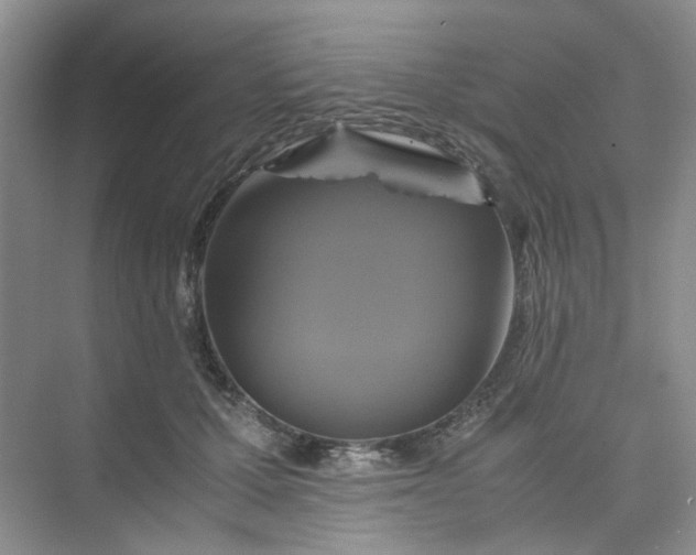 X0000075860607200609291550