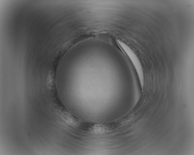 X0000075860608200609291550