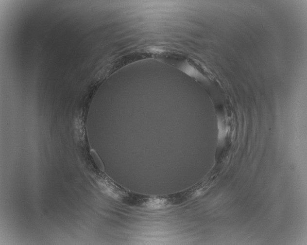 X0000075860609200609291550