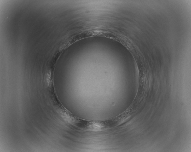 X0000075860610200609291550