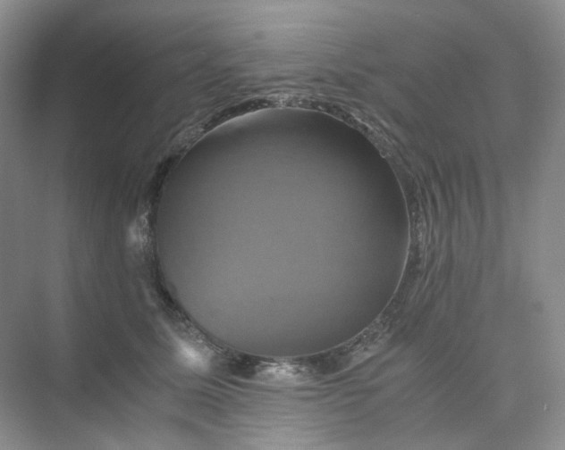 X0000075860611200609291550