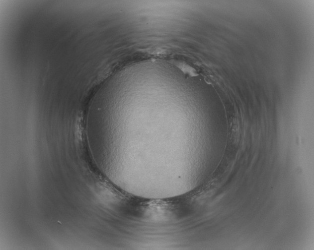 X0000075860612200609291550