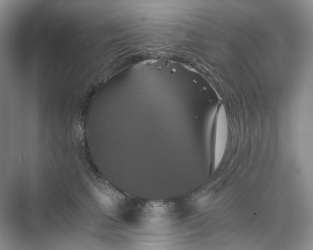 X0000075860613200609291549