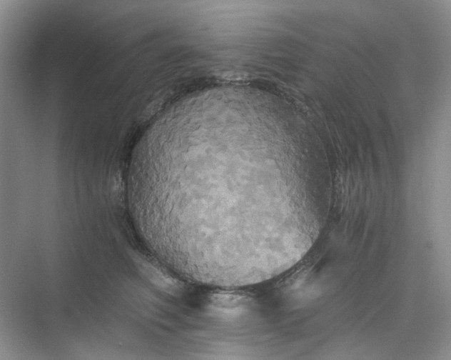 X0000075860614200609291549