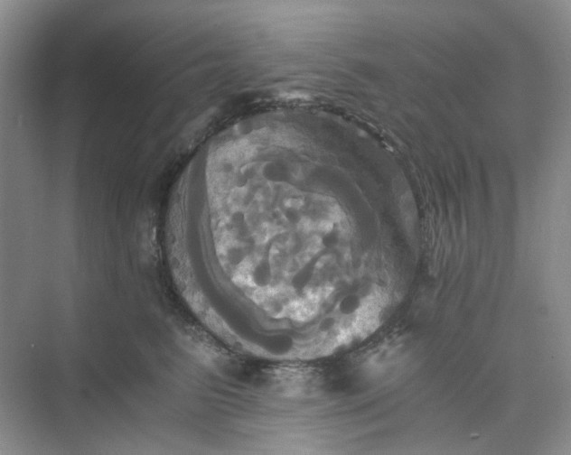 X0000075860615200609291549