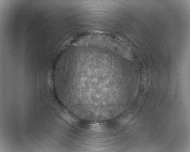 X0000075860616200609291549